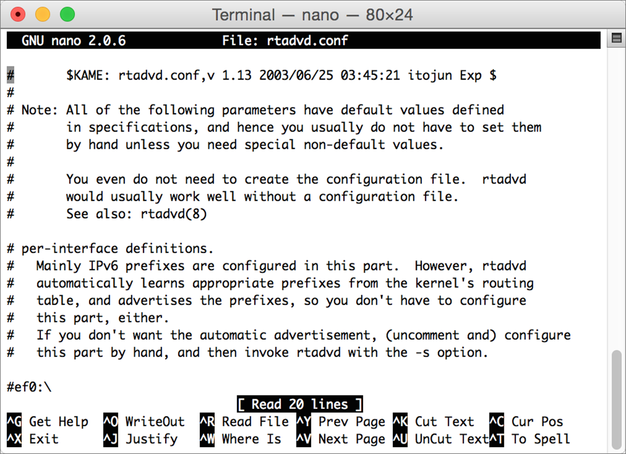 **Figure 5:** A text file open in the `nano` text editor. The menu of keyboard controls is at the bottom of the window.