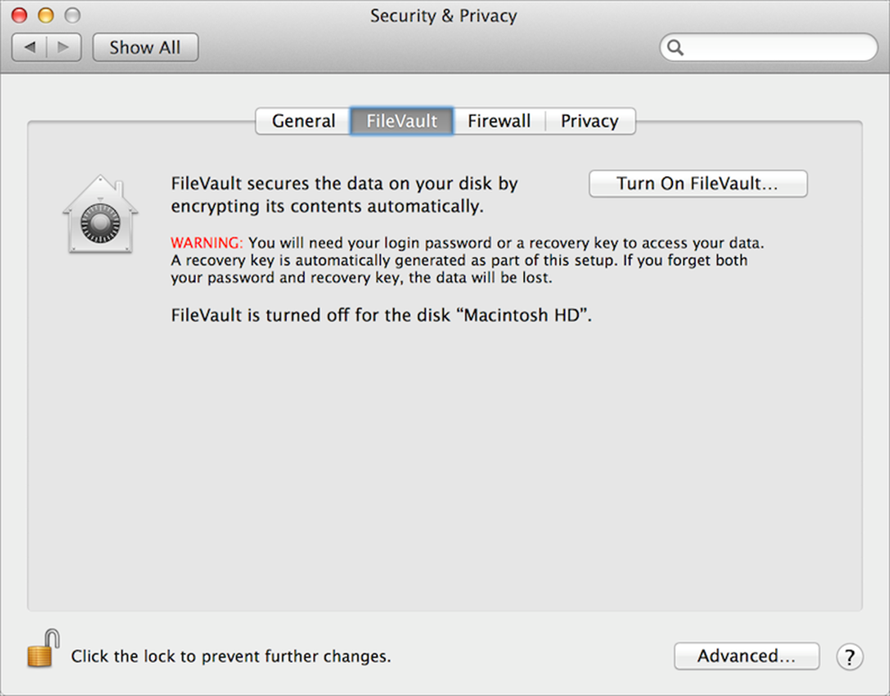 **Figure 1:** Click Turn On FileVault to begin the process of activating FileVault.