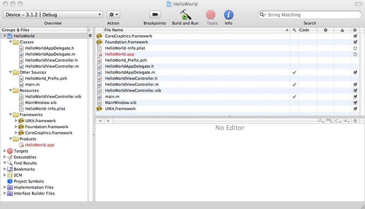 The initial project window opened by Xcode