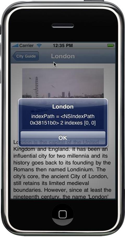 Opening the City Guide application from Safari