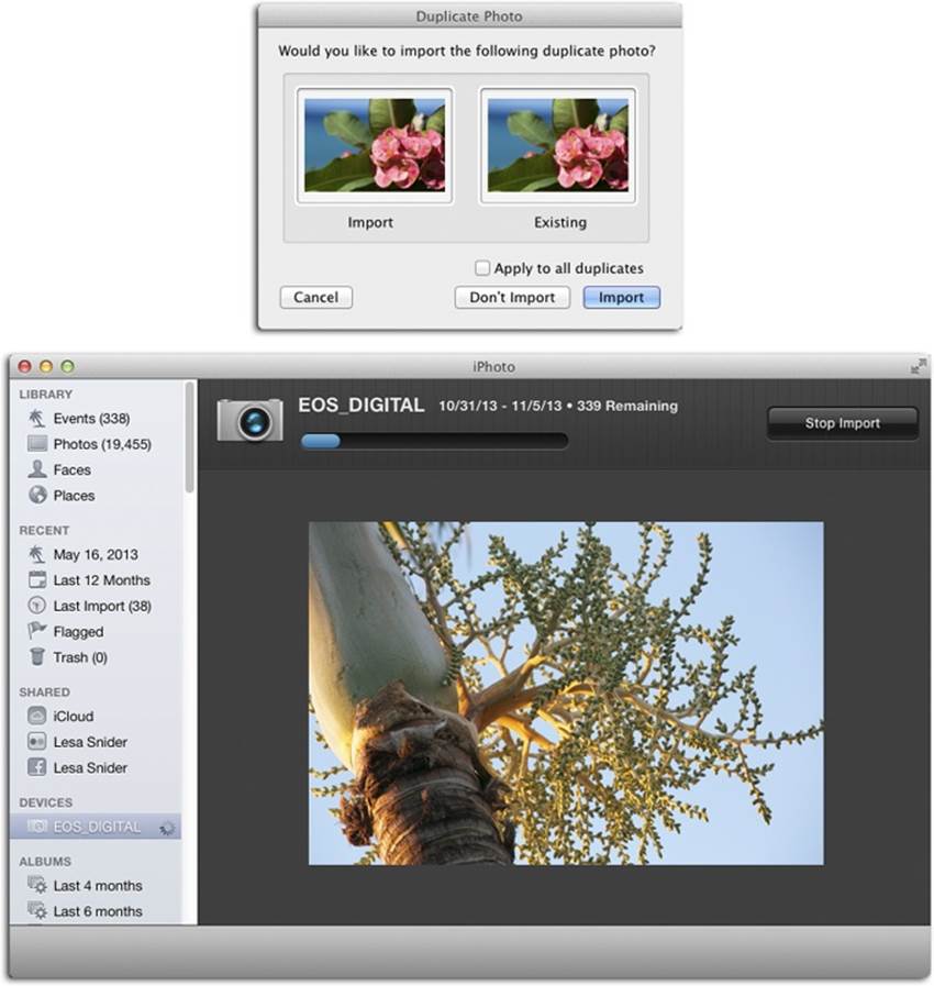 Top: You may sometimes see the Duplicate Photo message if, say, you drag and drop a previously imported photo onto the iPhoto window. iPhoto notices the arrival of duplicates (even if you’ve edited or rotated the first copy) and offers you the option of downloading them again—so you’ll have duplicates on your Mac—or ignoring them and importing only the new photos from your camera.Bottom: As the pictures get slurped into your Mac, iPhoto displays them, nice and big, in a sort of slideshow. You can see right away which ones were your hits, which were your misses, and which you’ll want to delete the instant the import is complete.