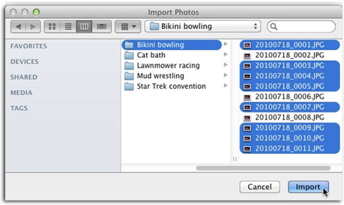 When the Import Photos dialog box appears, navigate to and select any graphics files you want to bring into iPhoto. You can ⌘-click individual files to select more than one, as shown here. You can also click one file, and then Shift-click another one to select both files and everything in the list in between.