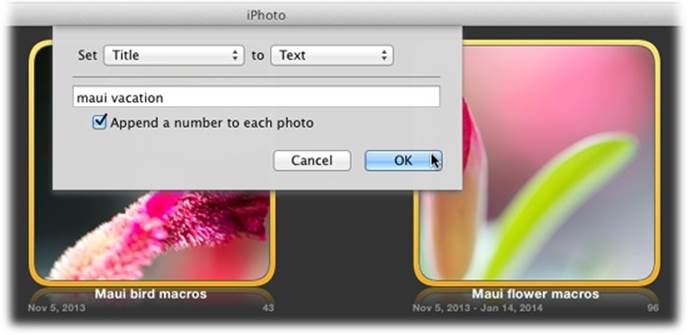 iPhoto’s batch-processing feature lets you specify titles, dates, and descriptions for any number of photos you select. When you title a batch of pictures, be sure to turn on “Append a number to each photo” to number them in sequence, too.