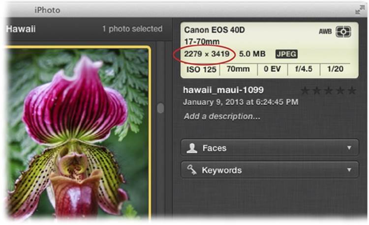 To select the best size for a printout, you need to know the photo’s pixel dimensions. iPhoto reveals this information in a convenient spot: at the top of the Info panel (circled) whenever you select a single thumbnail in the photo-viewing area (obviously, you have to open the Info panel to see it!).