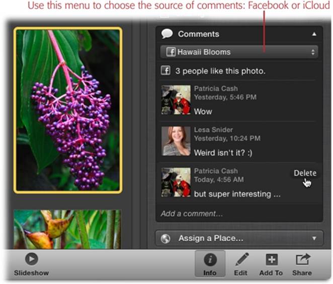 The Comments section of the Info panel is visible only when you have a single photo selected and that photo has been “liked” or commented upon. iPhoto keeps a tally of how many people “like” your photo. When you add or delete a comment in iPhoto, those changes are reflected in Facebook, too.As you learned earlier in the chapter, people can also comment on photos shared via iCloud photo streams. So if the photo you’re viewing is shared via iCloud and Facebook, a pop-up menu appears at the top of the Comments section to let you pick which comments you want to see.