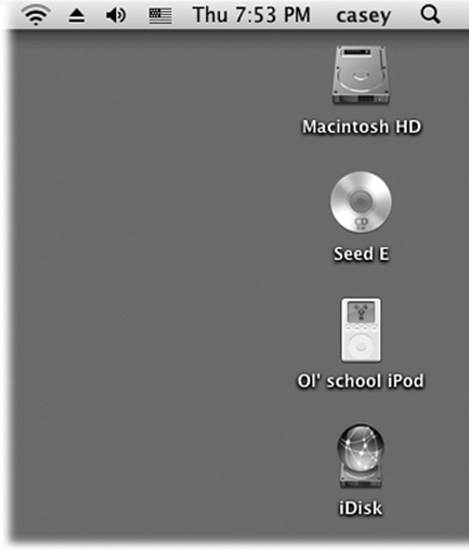You may see all kinds of disks on the OS X desktop (shown here: hard drive, CD, iPod, flash drive)—or none at all, if you’ve chosen to hide them using the Finder→Preferences command. But chances are pretty good you won’t be seeing many floppy disk icons.If you do decide to hide your disk icons, you can always get to them as you do in Windows: by opening the Computer window (Go→Computer).