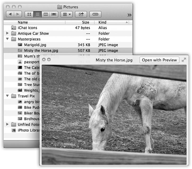 Once the Quick Look window is open, you can play a file (movies and sounds), study it in more detail (most kinds of graphics files), or even read it (PDF, Word, and Excel documents). You can also click another icon, and another, and another, without ever closing the preview; the contents of the window simply change to reflect whatever you’ve just clicked. Supertip: Quick Look even works on icons in the Trash, so you can figure out what something is before you nuke it forever.