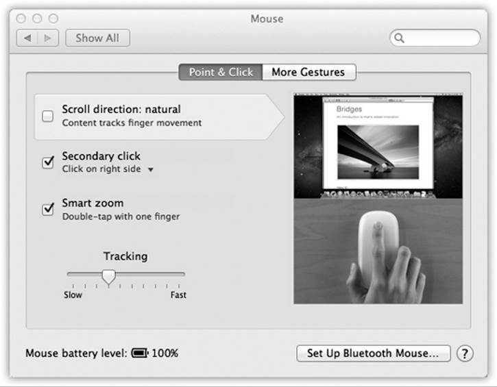 This enormous photographic display shows up if you have the Magic Mouse, one of Apple’s secretly “two-button” mice. The controls here let you program the right and left buttons.This is also where you can turn the right-clicking feature on (just choose Secondary Button from the appropriate pop-up menu)—or swap the right- and left-click buttons’ functions.