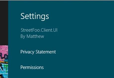 The Privacy Statement option