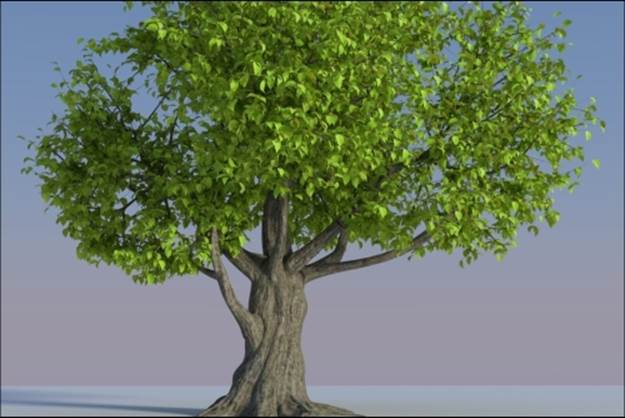 Creating tree shaders – the bark
