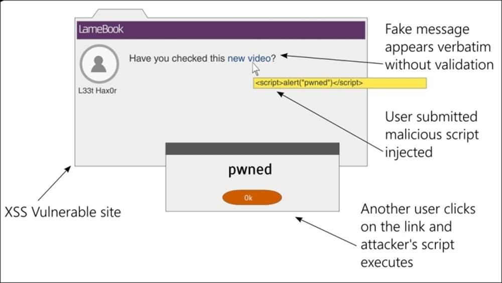 Cross-site scripting (XSS)