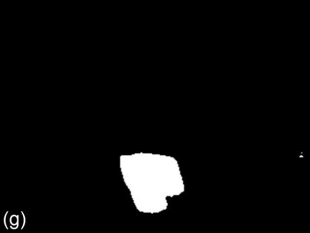 f12-01g-9780128020456