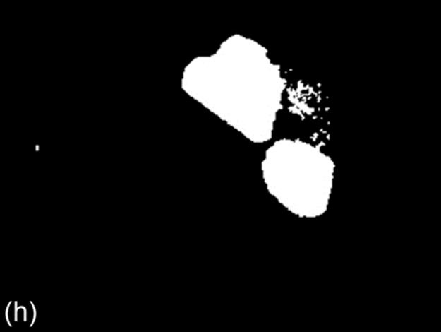 f12-01h-9780128020456