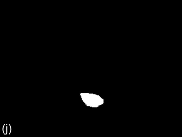 f12-01j-9780128020456