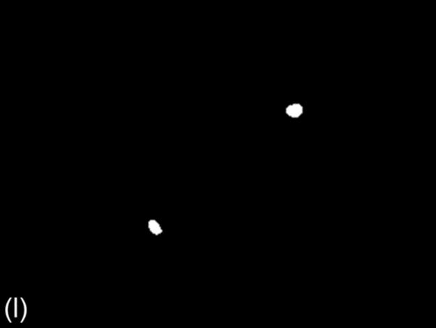 f12-01l-9780128020456