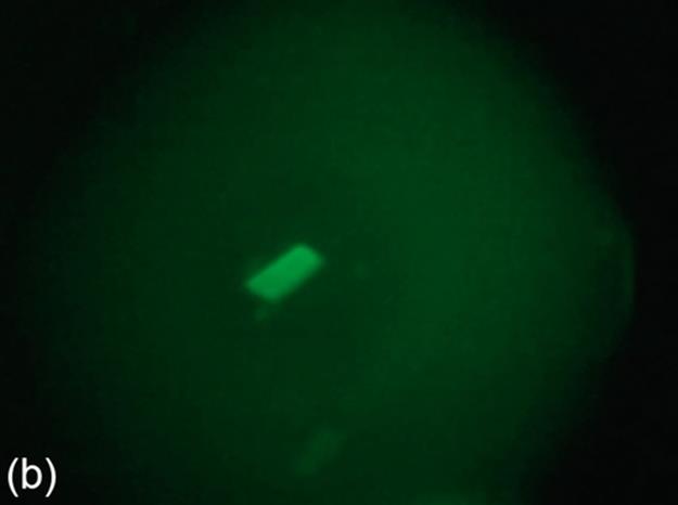 f12-05b-9780128020456