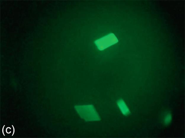 f12-05c-9780128020456