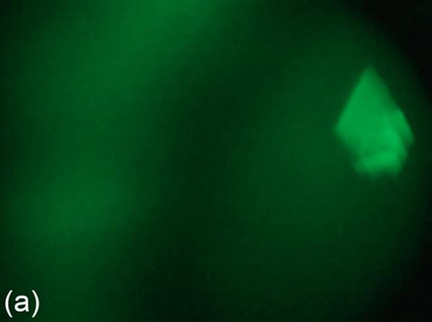 f12-08a-9780128020456
