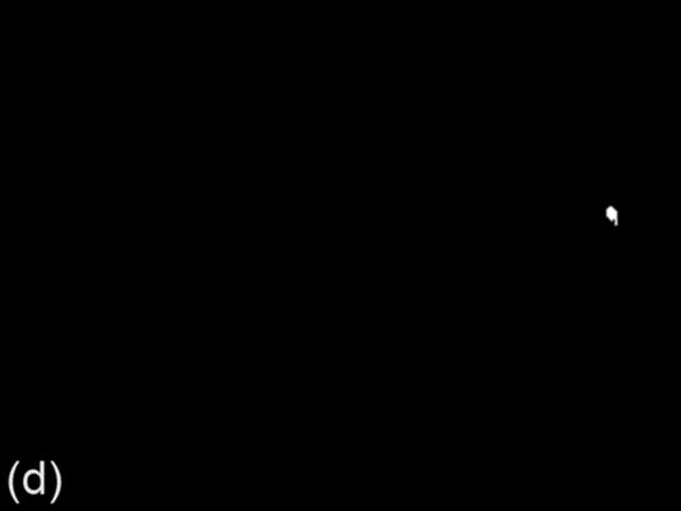 f12-08d-9780128020456