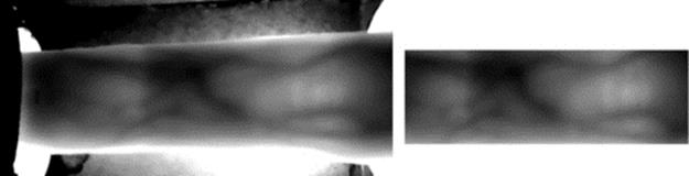 f25-01-9780128020456