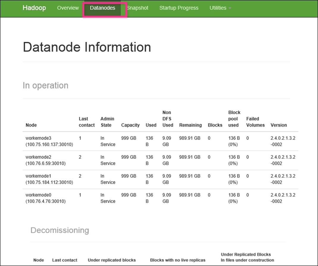 Datanode Status
