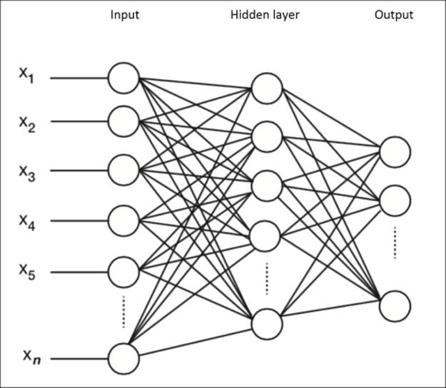 The neural network architecture