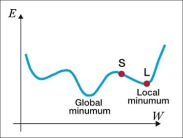 The neural network architecture