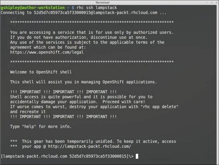 Secure shell and your application