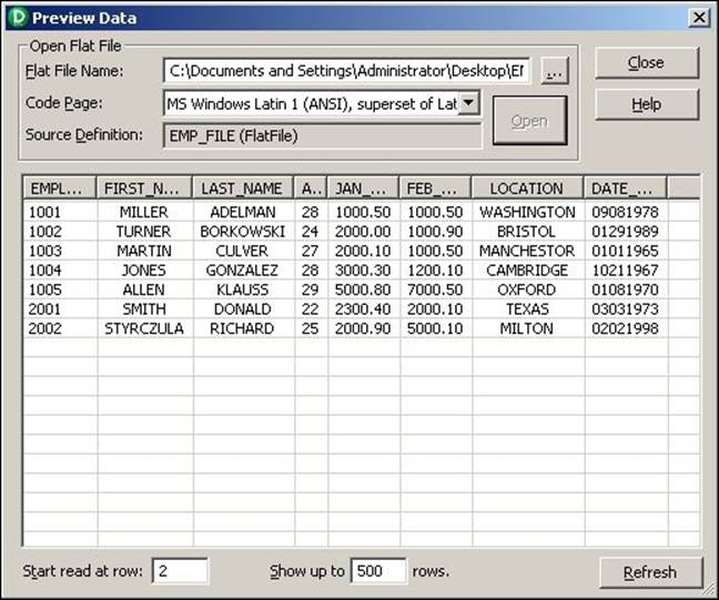 Previewing the source data – flat files
