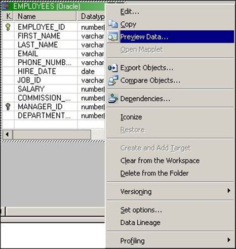 Previewing the source data – a relational table