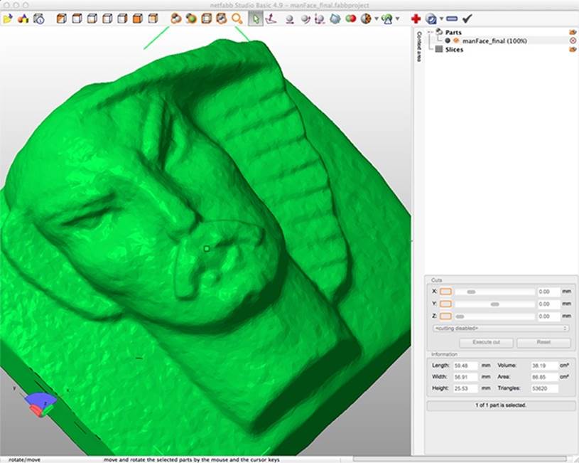 123D Catch scan of a stone face, shown in netfabb