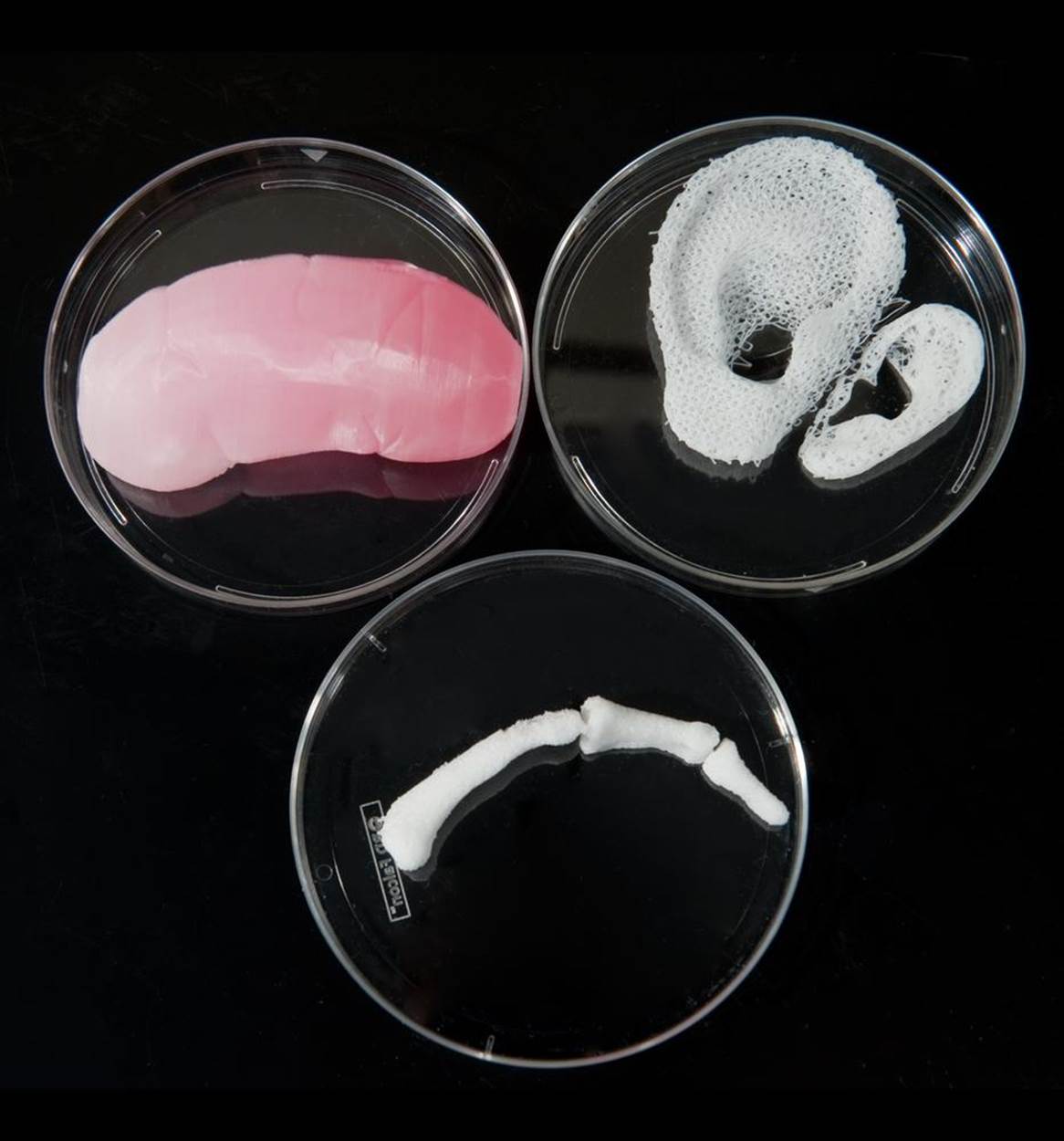 3D printed replacement tissues and organs