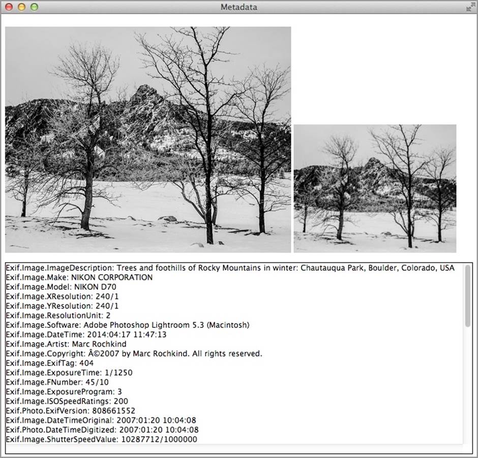 An image, embedded thumbnail, and metadata
