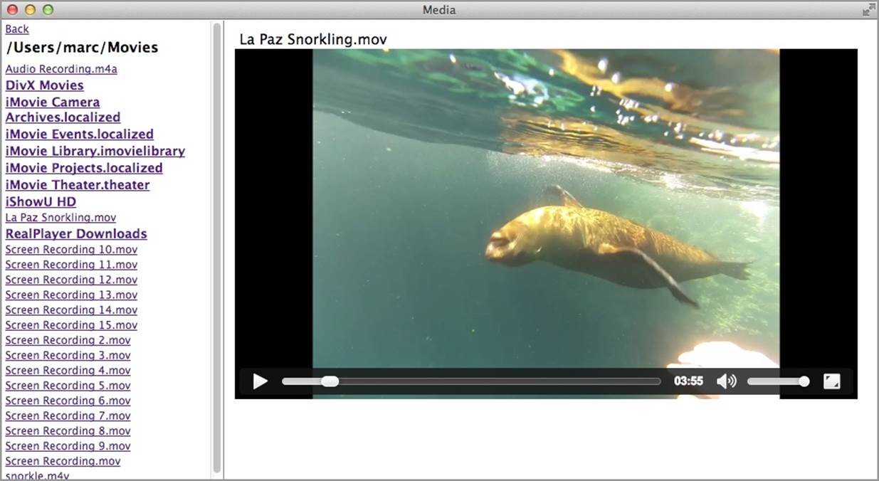 Media browser showing a video