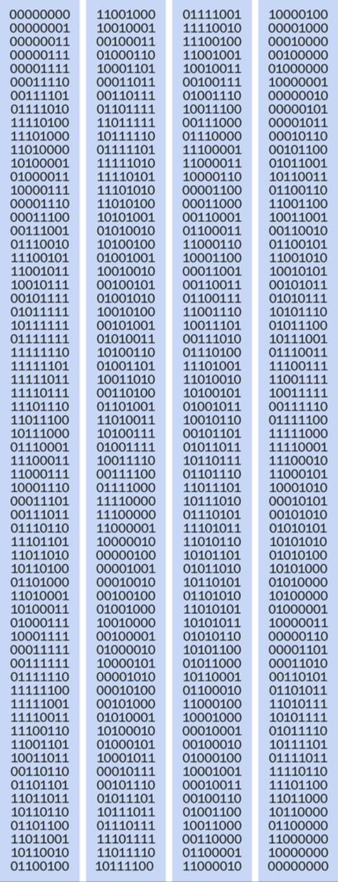 The sequence of 255 outputs from an 8-bit linear feedback shift register, plus a repeat of the initial state.