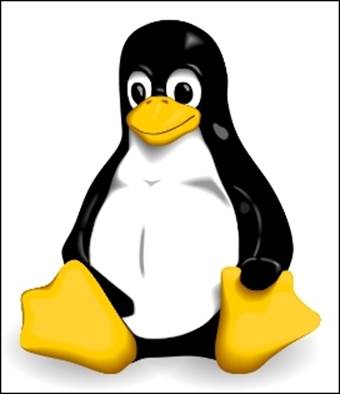 The Linux kernel