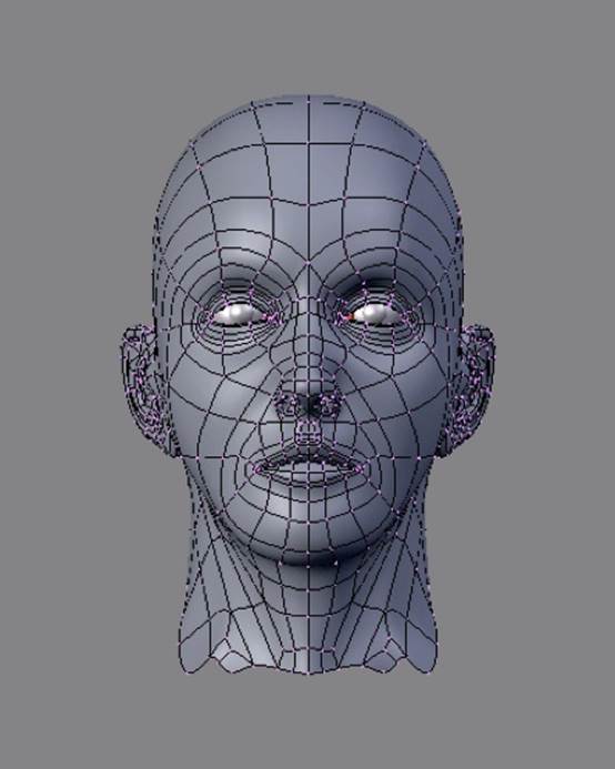 A 3D mesh; Creative Commons Attribution-Share Alike 3.0 unported license