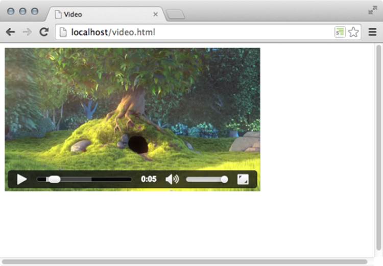 We've set our video to be 427 pixels wide by 240 pixels tall. The Google Chrome window is 640 pixels wide. Image from "Big Buck Bunny" by the Blender Foundation, bigbuckbunny.org