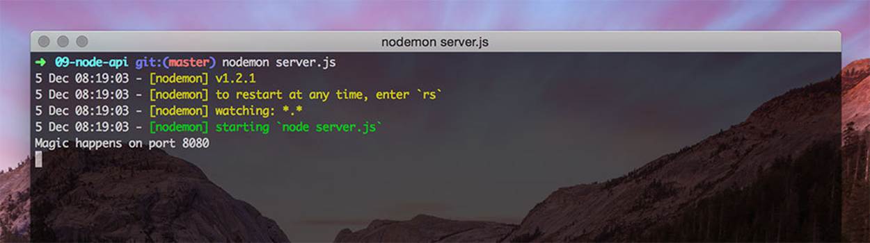 Starting Node Server