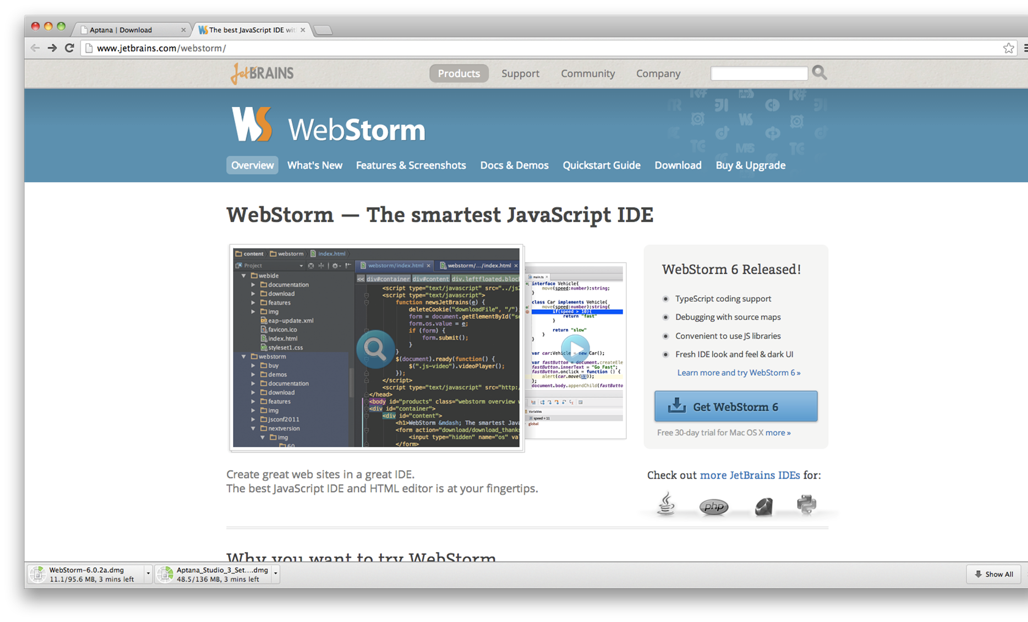 WebStorm IDE home page.