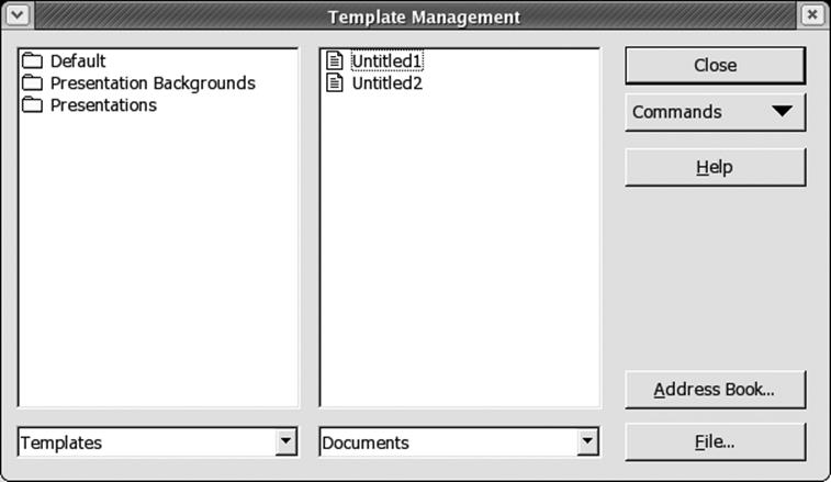 The Template Management window
