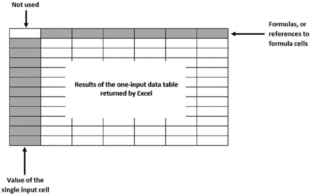 Screenshot shows an excel sheet with cells represented as not used, value of the single input cell, formulas or reference to formula cells.