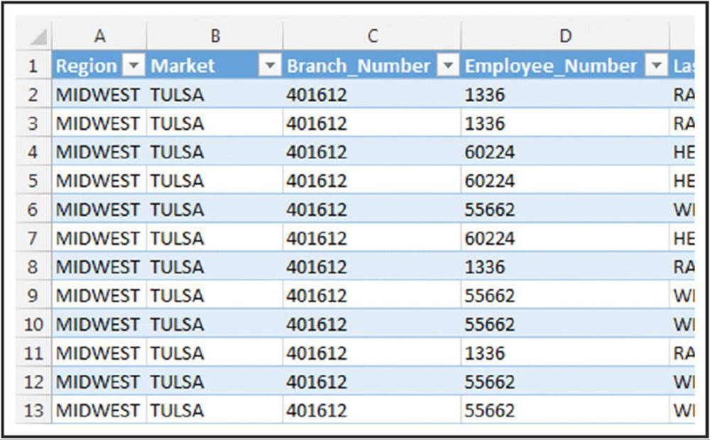 Excel sheet shows data's entered for Region, Market, Branch_Number, Employee_Number et cetera.