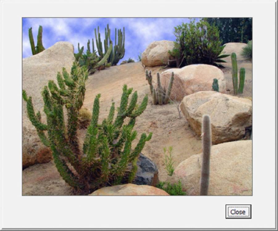 Screenshot shows a window displaying a hilly region with number of cactus plants along with a close button.
