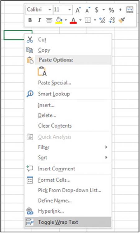 Screenshot shows the options listing on right clicking on a blank cell in an excel sheet; cut, copy, paste options, insert, delete et cetera are listed.