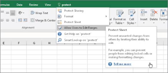 Snipped image of Excel 2016 with a pop-up Tell Me What You Want To Do box with the typed word protect, displaying a list of options. The cursor points Protect Sheet option.