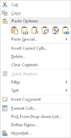 Screenshot of the right-click menu presenting the highlighted Paste Options.