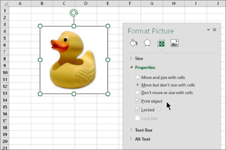 Screenshot of a worksheet with an image of a duck and a popped-up Format Picture dialog box presenting sizes options with the Properties section expanded. Print object box and Locked box are checked.