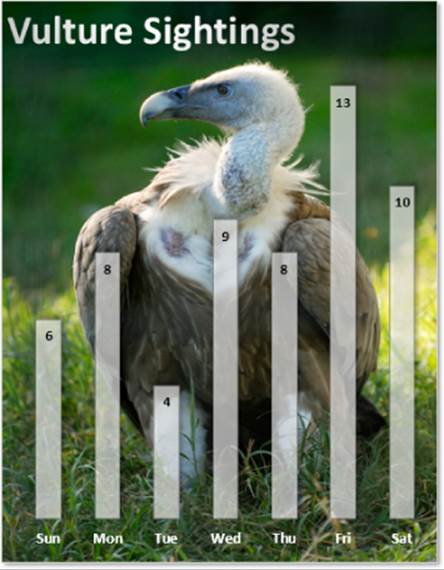 A bar chart using a photo of a vulture titled Vulture Sightings as its chart area's background.