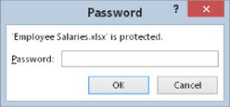 Password dialog box presenting a password field for the protected Employee Salaries document.